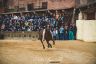 Palio Straordinario: la fotogallery delle Prove di Addestramento Mattutine